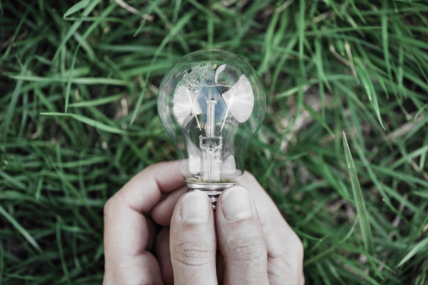 des-mains-tenant-une-ampoule-fond-vert-de-gazon