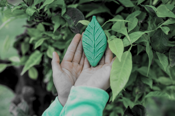 deux-mains-tenant-une-feuille-verte-ceramique-sur-fond-vert-de-feuilles-d'arbustes