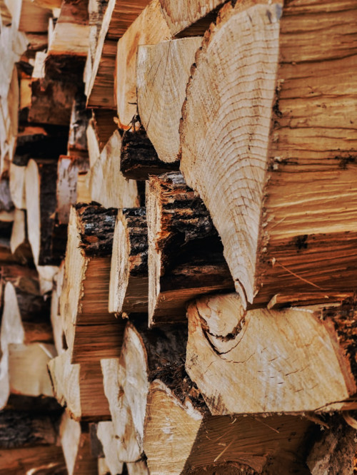 buches de bois de chauffage